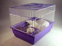 What are the must-have items for a hamster cage?