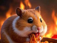 how long do hamsters live?